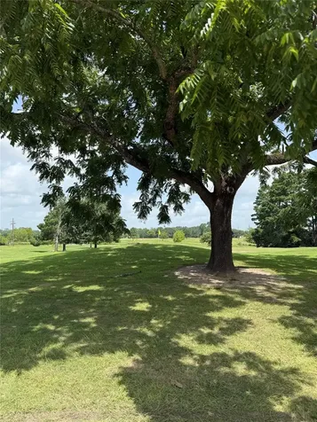 Lot 7 Block 8 Monticello Street Trinity TX 75862