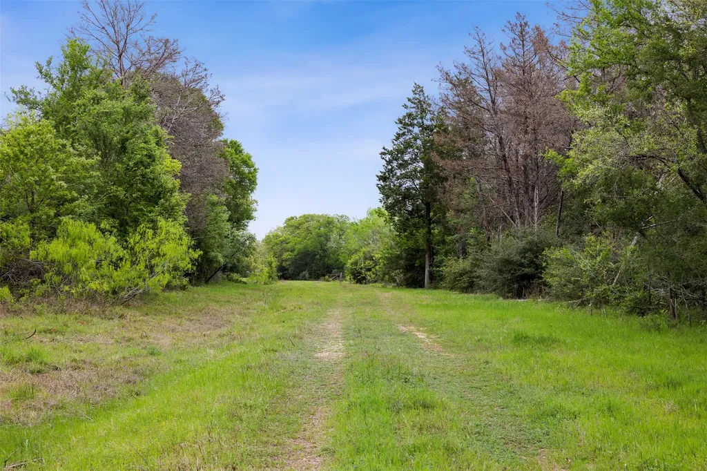 4822 Fm 1624 Lexington TX 78947
