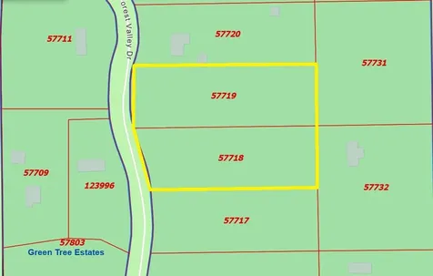 Forest Valley Drive Cleveland TX 77328