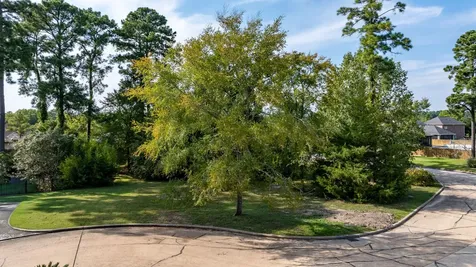 15 Stanford Court Montgomery TX 77356