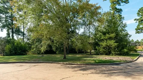 15 Stanford Court Montgomery TX 77356
