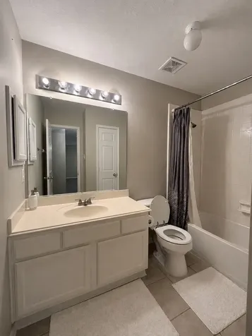 8419 Castle Pond Court Houston TX 77095