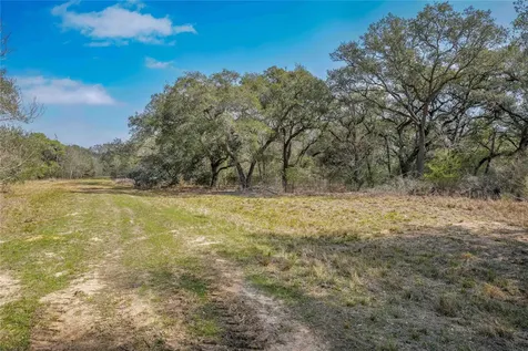 Tbd Cr 397 Louise TX 77455