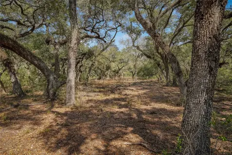 Tbd Cr 397 Louise TX 77455