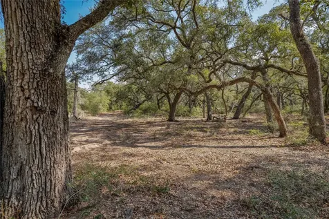 Tbd Cr 397 Louise TX 77455