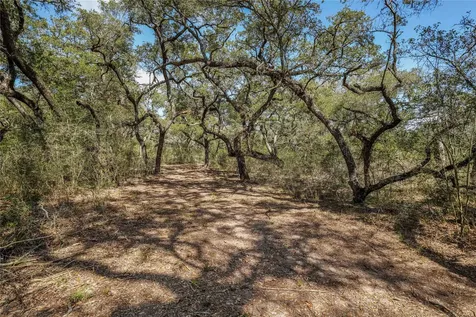 Tbd Cr 397 Louise TX 77455