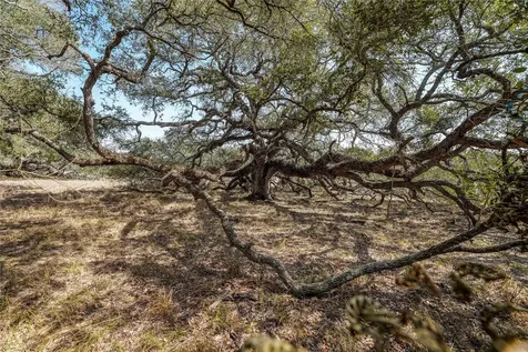 Tbd Cr 397 Louise TX 77455