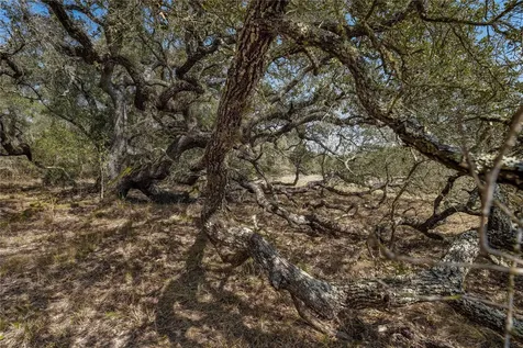 Tbd Cr 397 Louise TX 77455