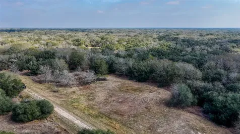 Tbd Cr 397 Louise TX 77455
