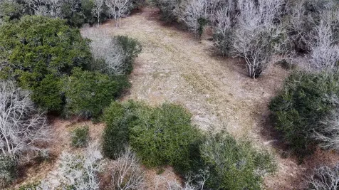 Tbd Cr 397 Louise TX 77455