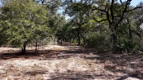 Tbd Cr 397 Louise TX 77455