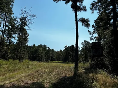 Tract 5 Trinity Lady Park Road Trinity TX 75862