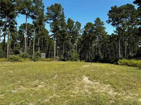 Tract 5 Trinity Lady Park Road Trinity TX 75862