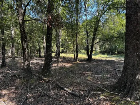 Tract 5 Trinity Lady Park Road Trinity TX 75862