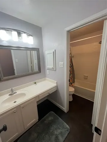 26 Merit Woods Place The Woodlands TX 77382