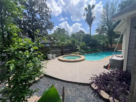 26 Merit Woods Place The Woodlands TX 77382