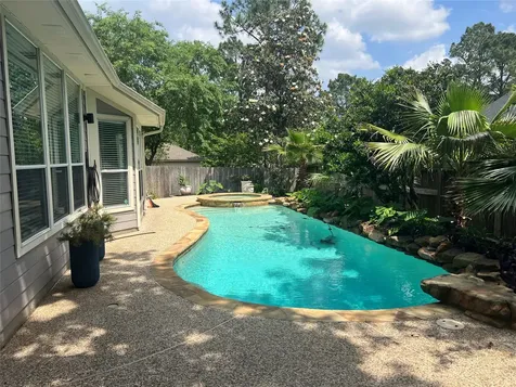 26 Merit Woods Place The Woodlands TX 77382