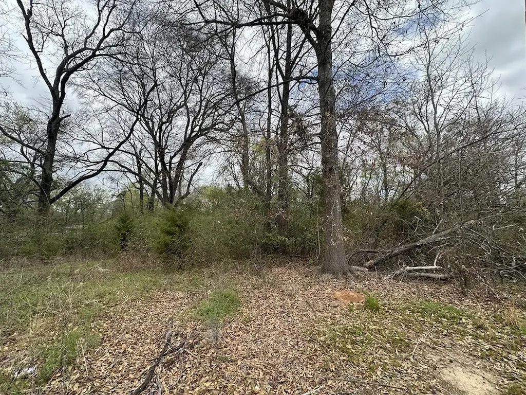1509 South Street Marshall TX 75670