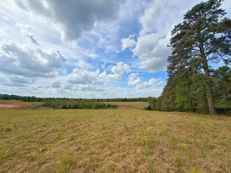 143 Ac Cr 236 Oakwood TX 75855