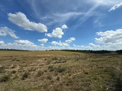 143 Ac Cr 236 Oakwood TX 75855