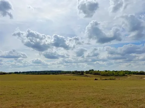 143 ac Cr 236 Oakwood TX 75855