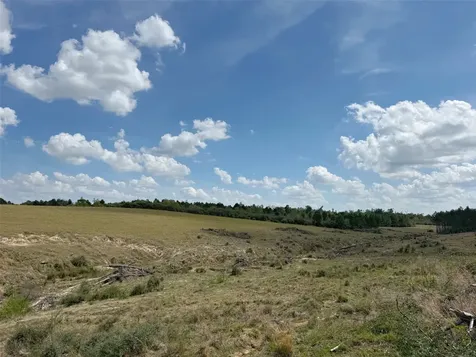 143 Ac Cr 236 Oakwood TX 75855