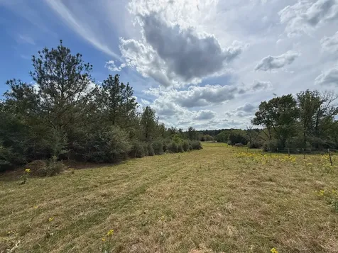 143 Ac Cr 236 Oakwood TX 75855