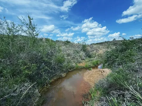 143 ac Cr 236 Oakwood TX 75855