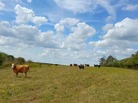 143 Ac Cr 236 Oakwood TX 75855