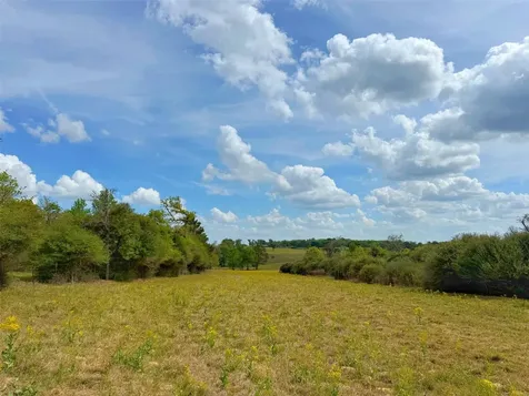 143 Ac Cr 236 Oakwood TX 75855