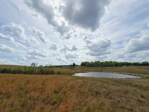 143 Ac Cr 236 Oakwood TX 75855