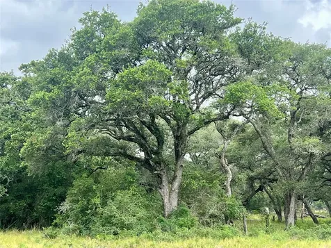 Tbd - 7.62 Sandy Creek Road Garwood TX 77442