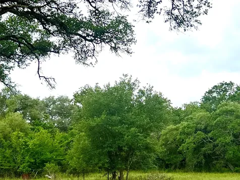 Tbd - 7.62 Sandy Creek Road Garwood TX 77442