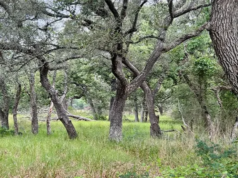 Tbd - 7.62 Sandy Creek Road Garwood TX 77442