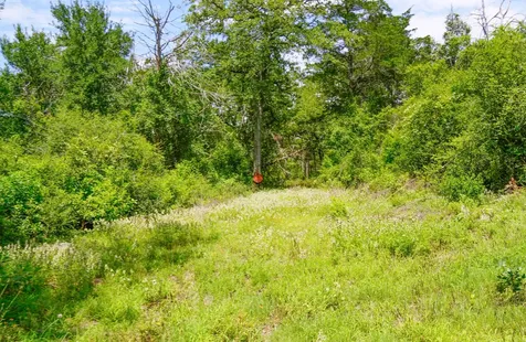 Tbd Farm To Market 3233 La Grange TX 78945