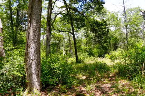 Tbd Farm To Market 3233 La Grange TX 78945