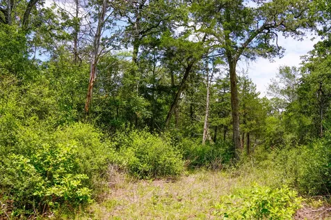 Tbd Farm To Market 3233 La Grange TX 78945