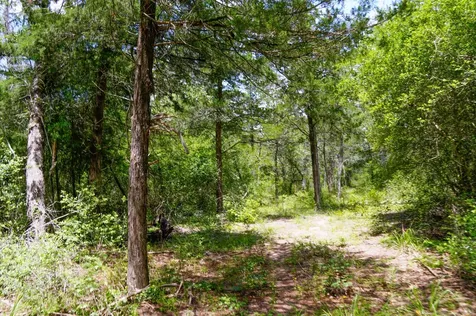 Tbd Farm To Market 3233 La Grange TX 78945