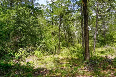 Tbd Farm To Market 3233 La Grange TX 78945