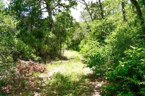 Tbd Farm To Market 3233 La Grange TX 78945