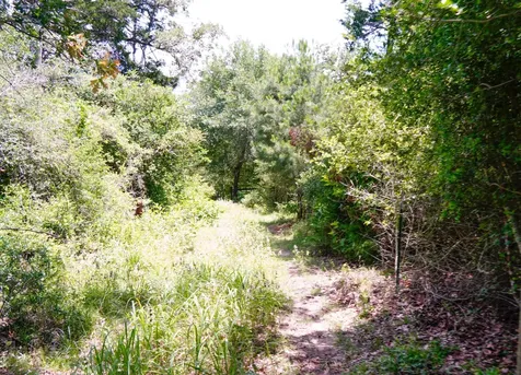 Tbd Farm To Market 3233 La Grange TX 78945