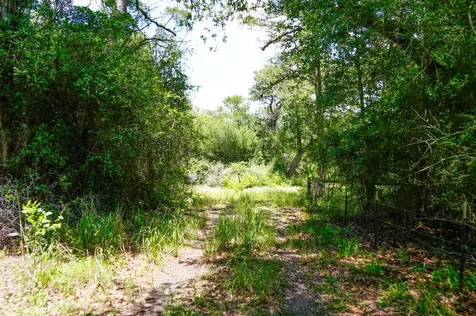Tbd Farm To Market 3233 La Grange TX 78945