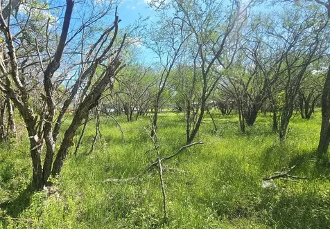 1714 J Newz Lane Wallis TX 77485