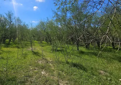 1714 J Newz Lane Wallis TX 77485