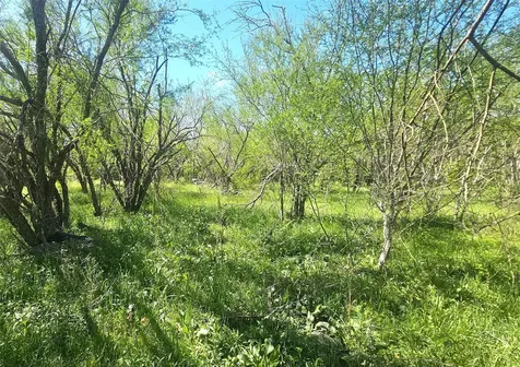 1714 J Newz Lane Wallis TX 77485