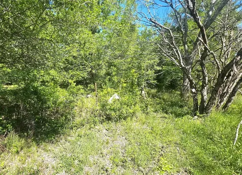 1714 J Newz Lane Wallis TX 77485