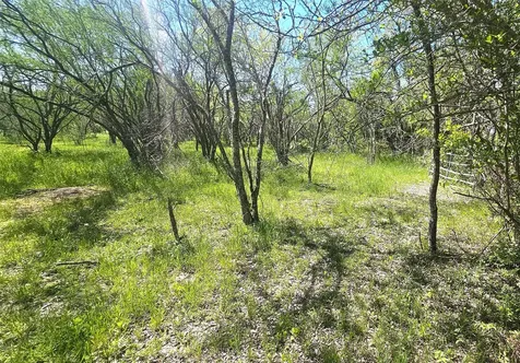 1714 J Newz Lane Wallis TX 77485