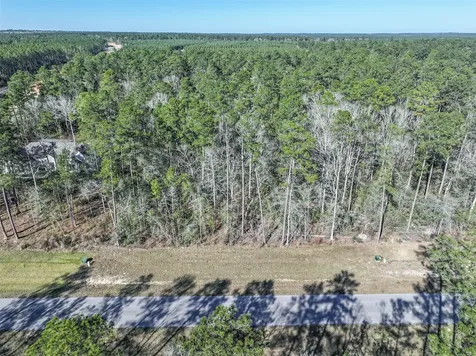 15268 Forest Grove Drive Willis TX 77378