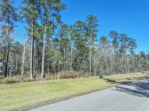 15268 Forest Grove Drive Willis TX 77378