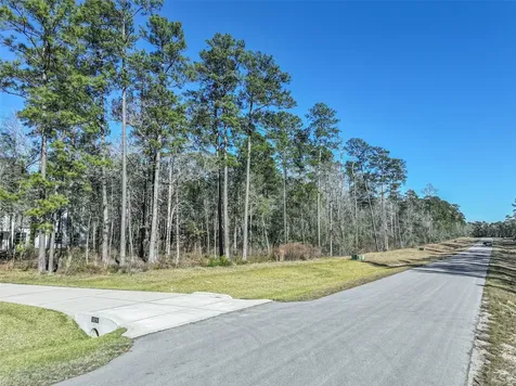 15268 Forest Grove Drive Willis TX 77378